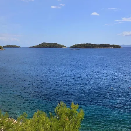 Apartments By The Sea Prizba, Korcula - 9229 *