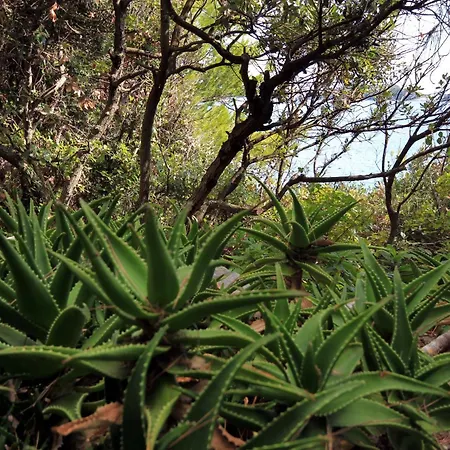 شقة By The Sea Prizba, Korcula - 9229 بريسبا