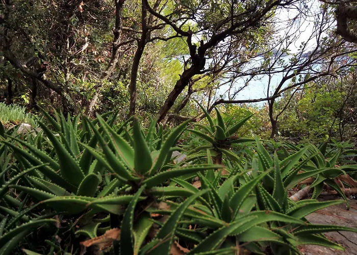شقة By The Sea Prizba, Korcula - 9229 بريسبا